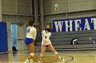 Women’s VB intersquad  Women’s Volleyball inter-squad match. : Women’s Volleyball, VB, inter squad, intersquad